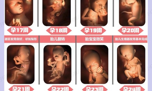 龙参青生长在哪-龙参青功效网—知名的龙参青的功效与作用网站,分享龙籐参知识
