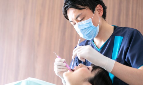 龙参青生长在哪-龙参青功效网—知名的龙参青的功效与作用网站,分享龙籐参知识